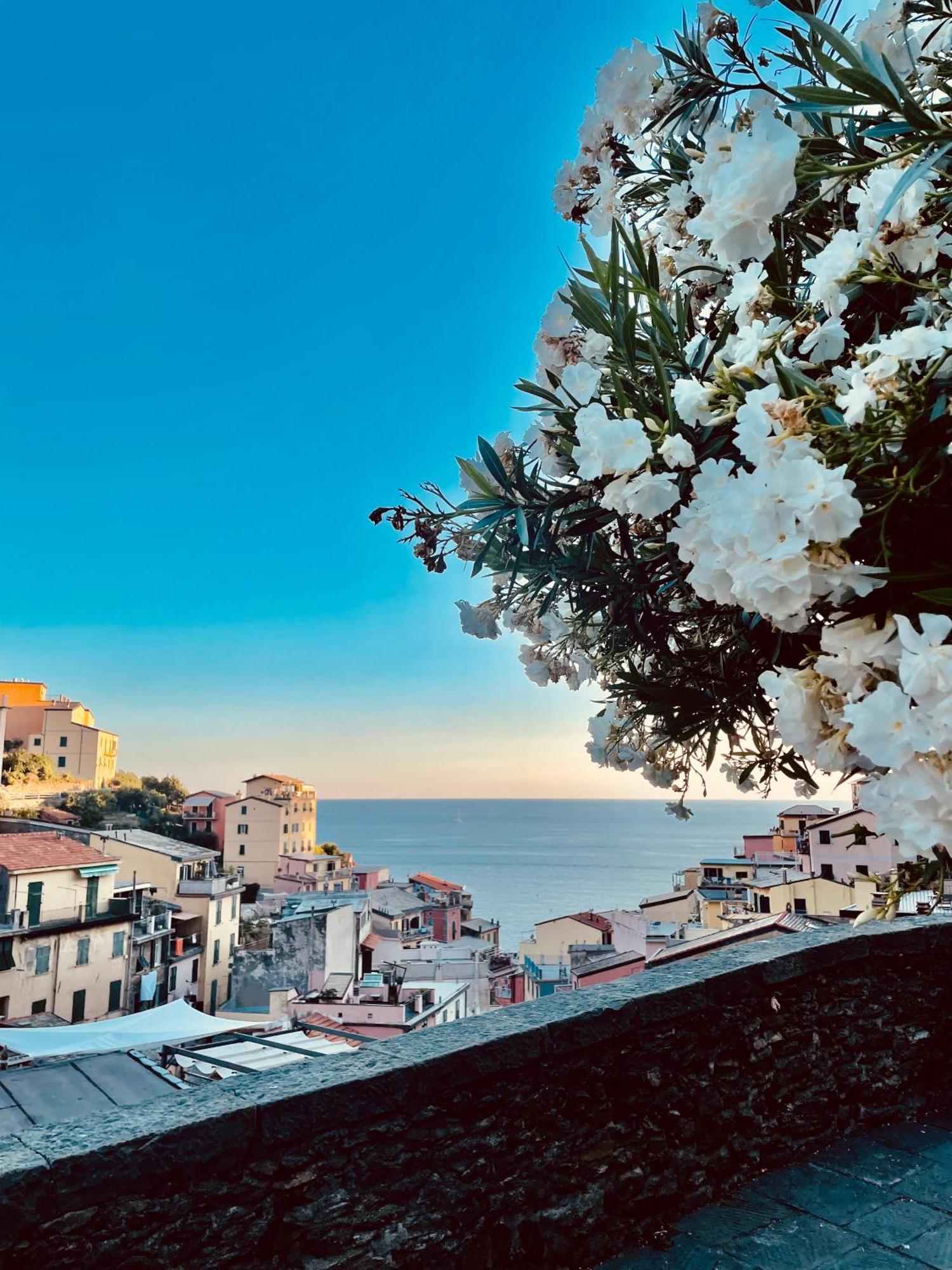 5Terreontherocks Riomaggiore Exterior foto
